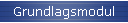 Grundlagsmodul